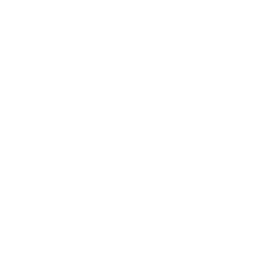Estudios de función pulmonar